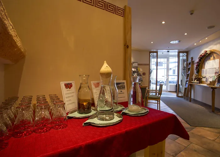 Alpenaussicht Hotel 4*